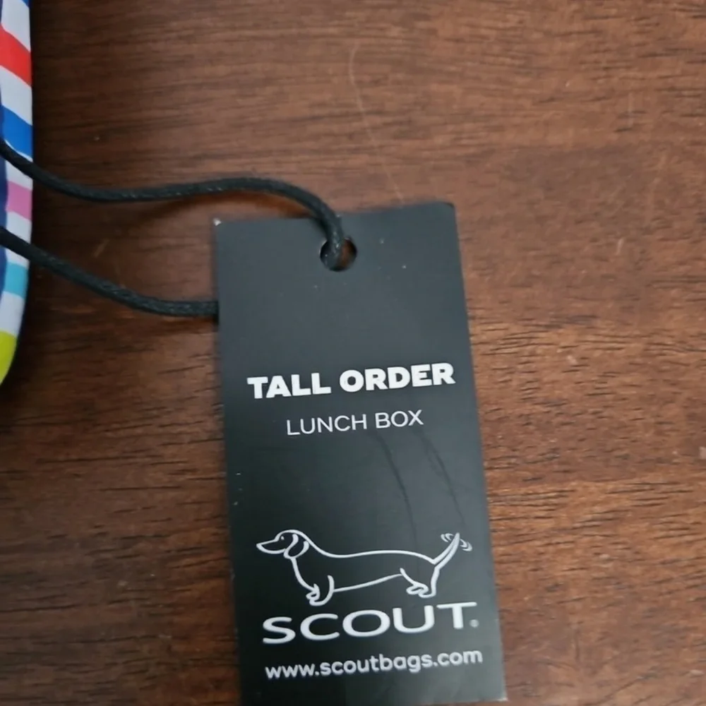 Scout Tall Order Lunch Box with Colorful Stripes